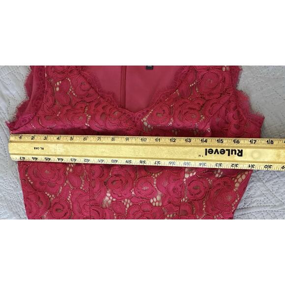 NWT Adrianna Papell Sz 8 Chiffon Lace Overlay Fit N Flare Dk Pink Zip Drop Waist - Picture 14 of 16